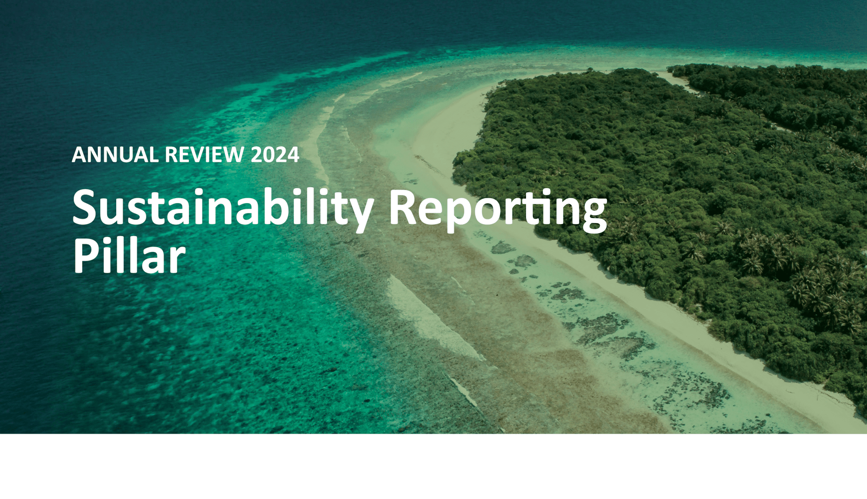 annual_review_pillars_main_pictures