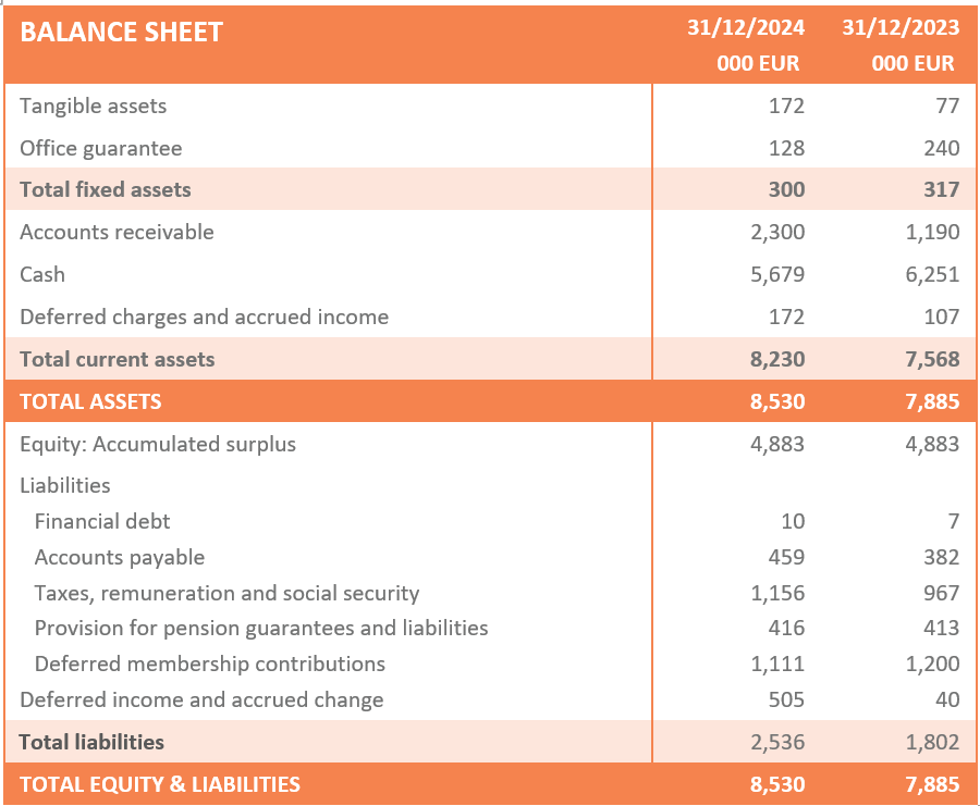 EFRAG Balance Sheet AR 2024
